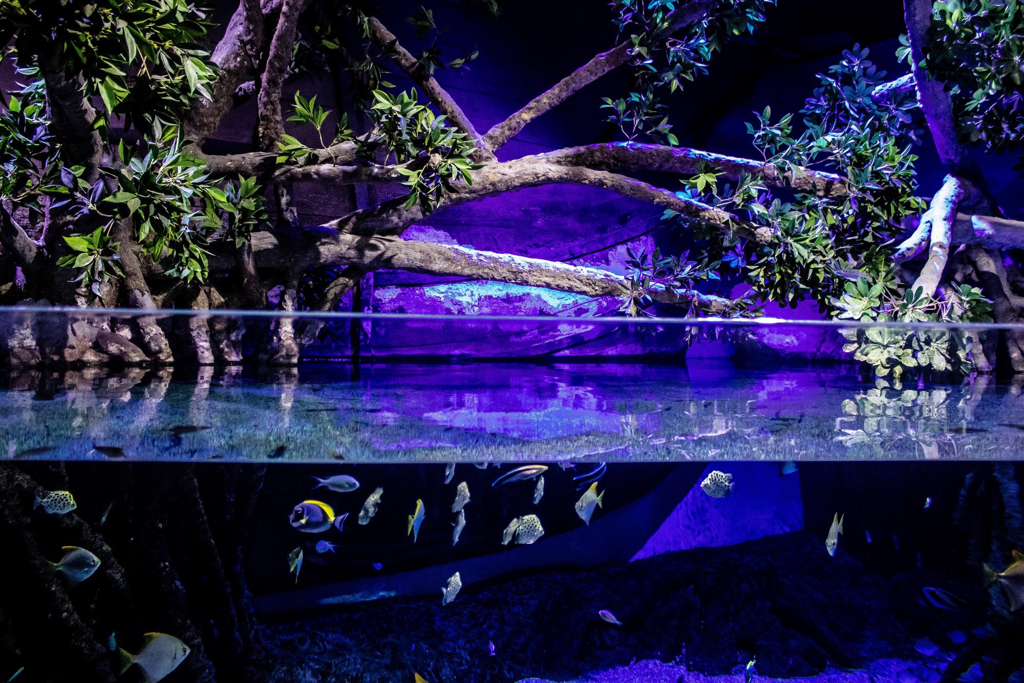 Aquarium de Séville