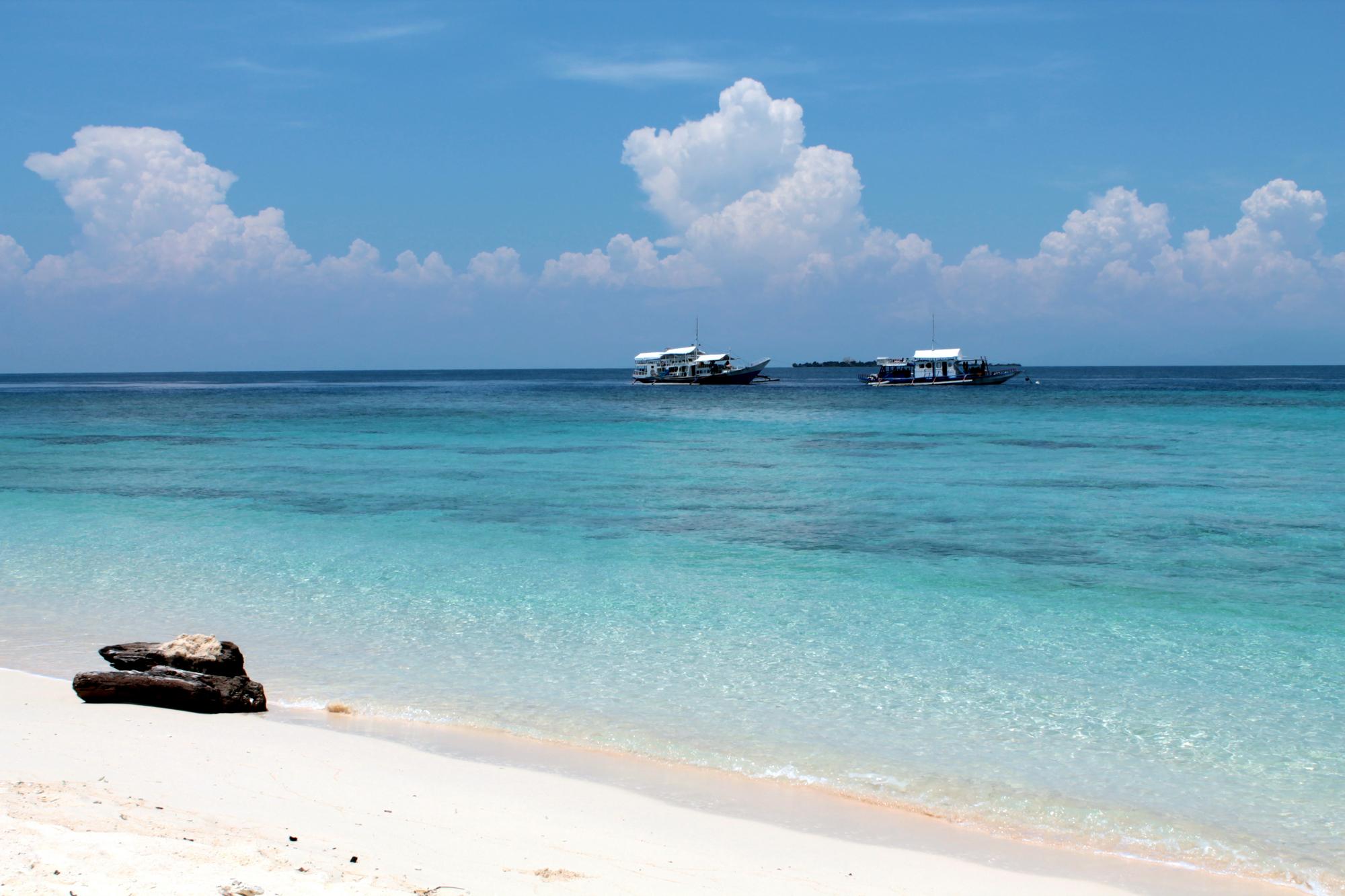 Sanctuaire de plongée de Apo Reef
