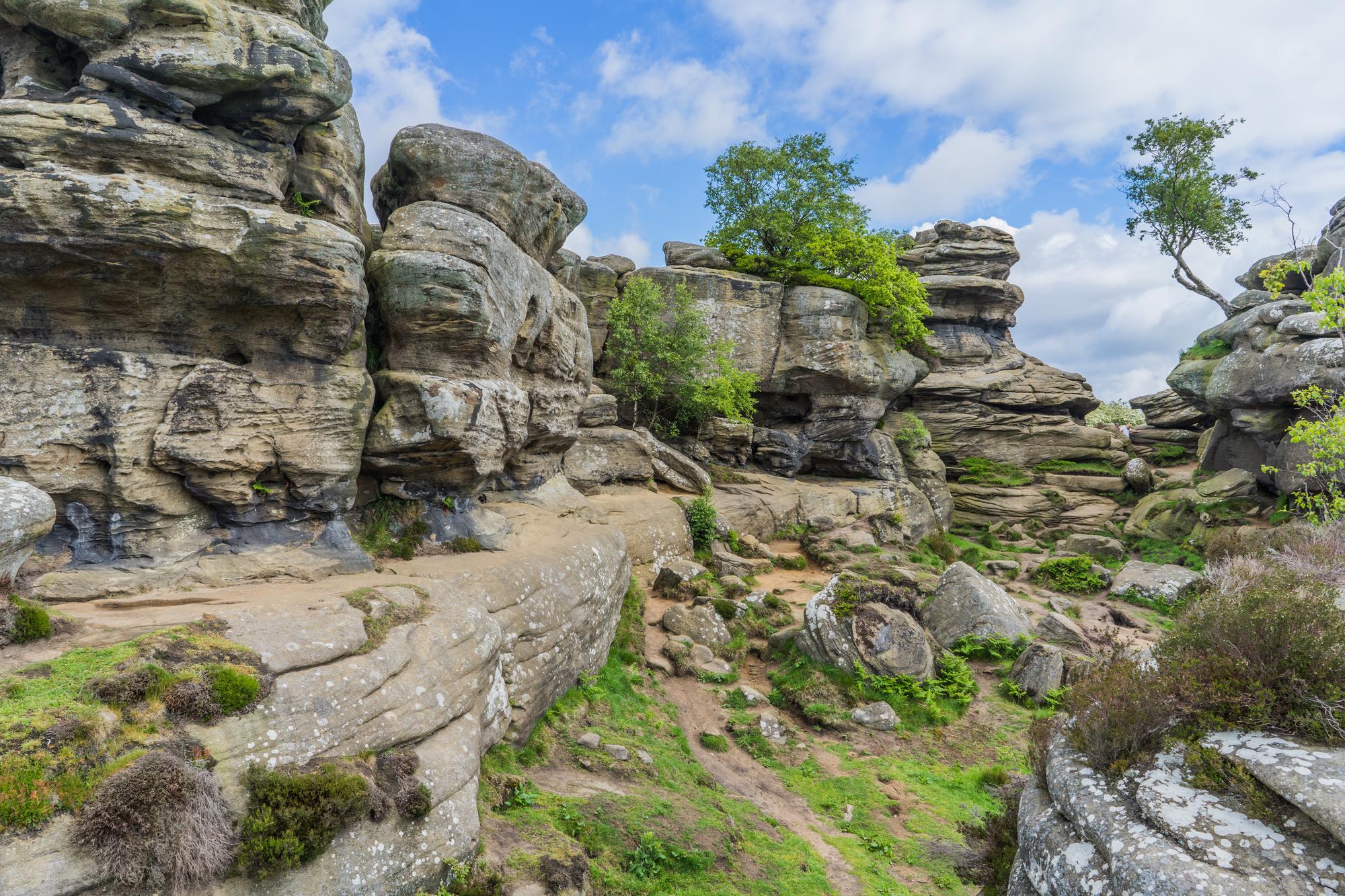 Brimham Rocks
