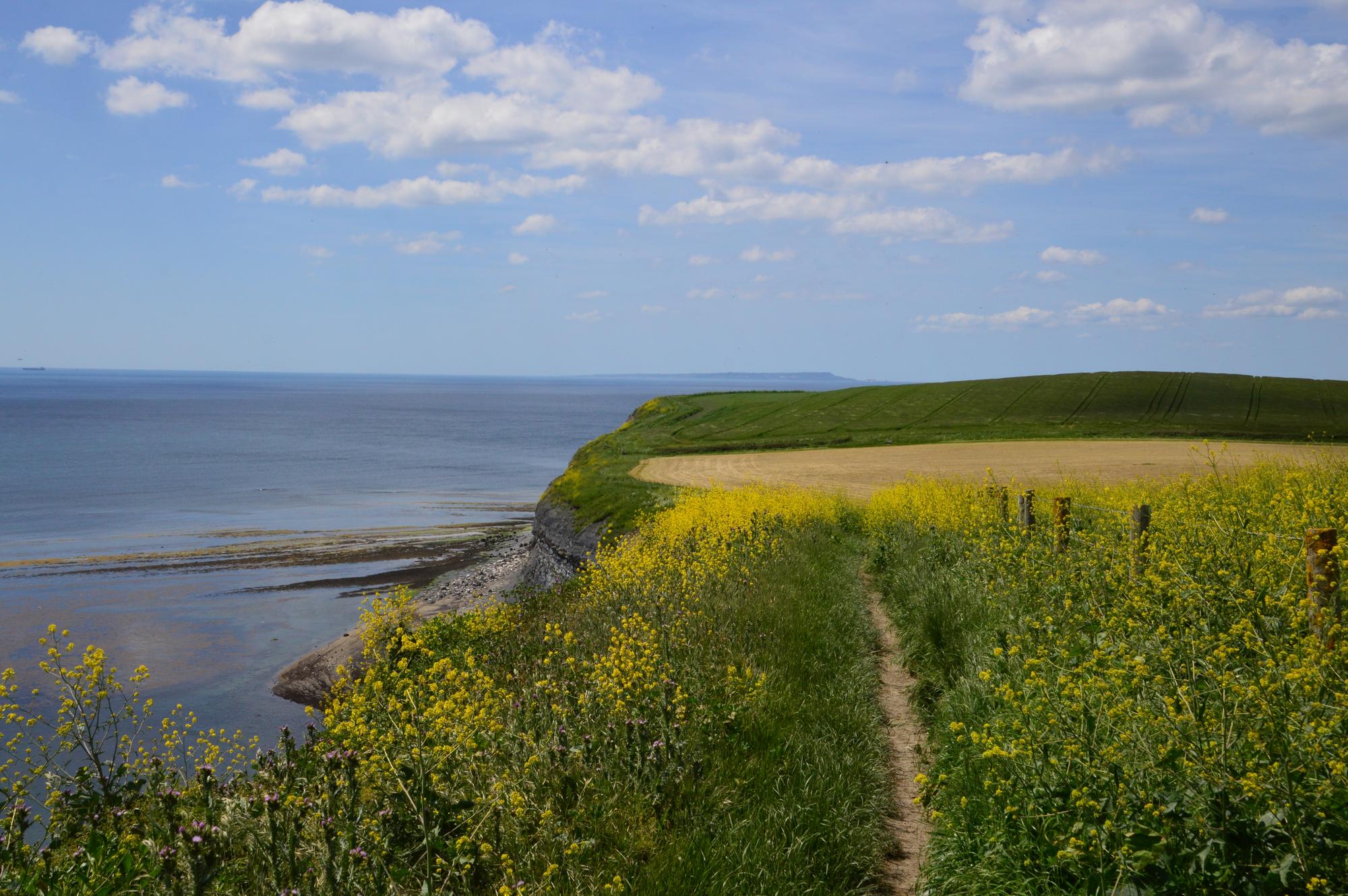 Kimmeridge Bay