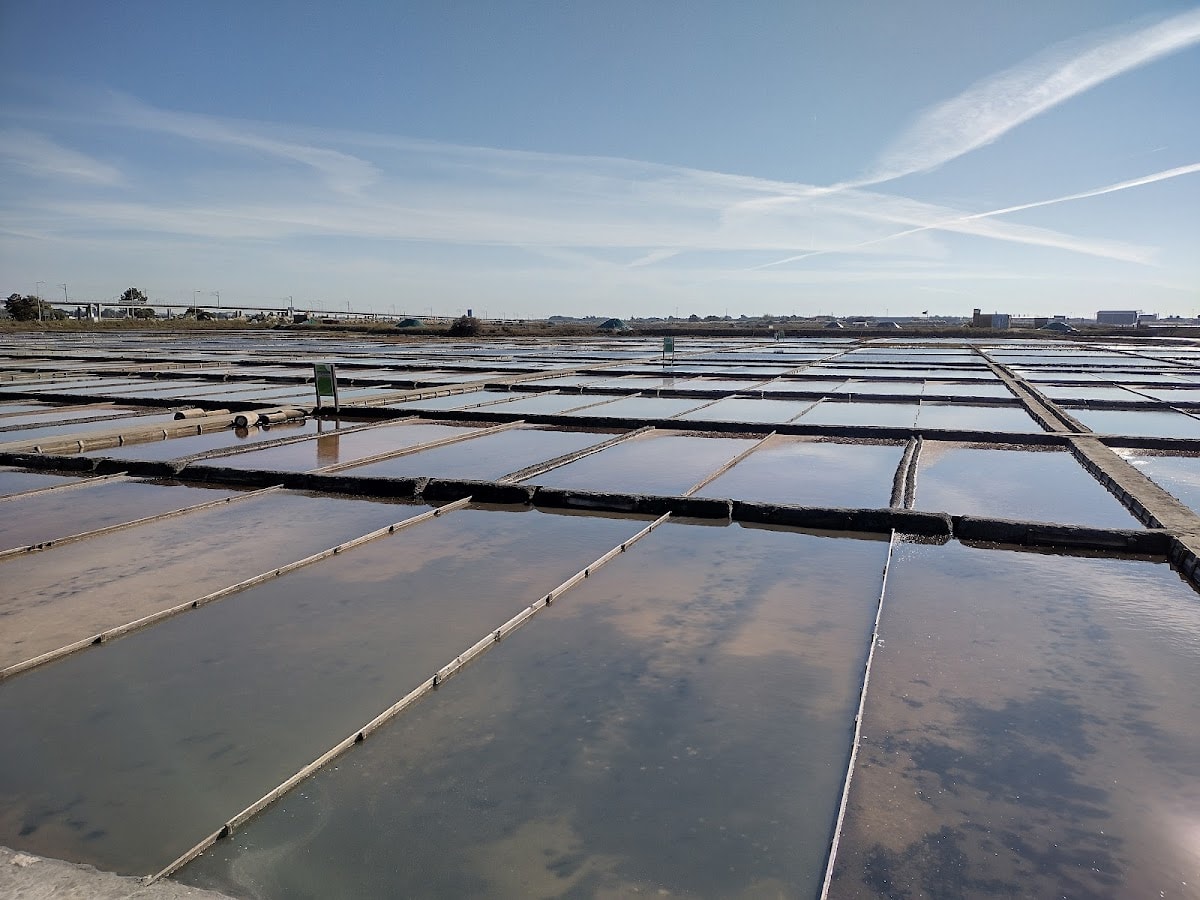 Saline de Aveiro