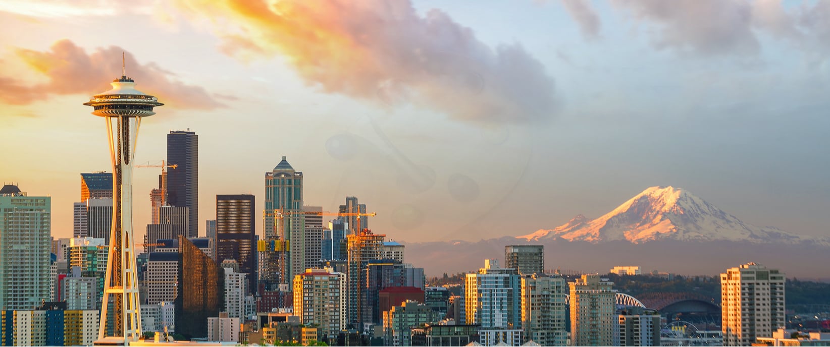 Seattle : les meilleures activités