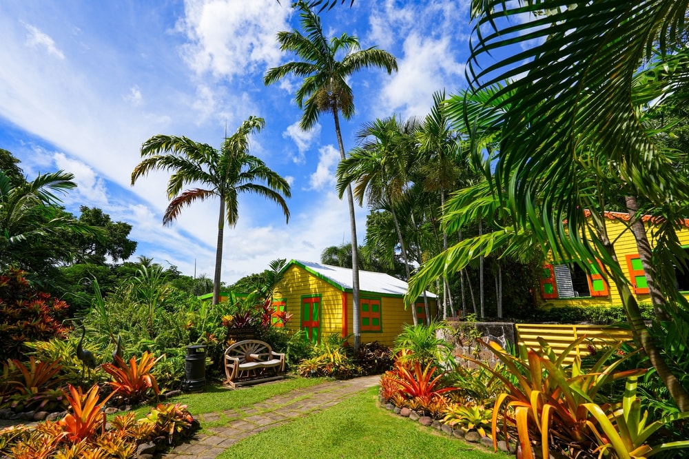Saint-Christophe-et-Niévès : les meilleures activités à faire