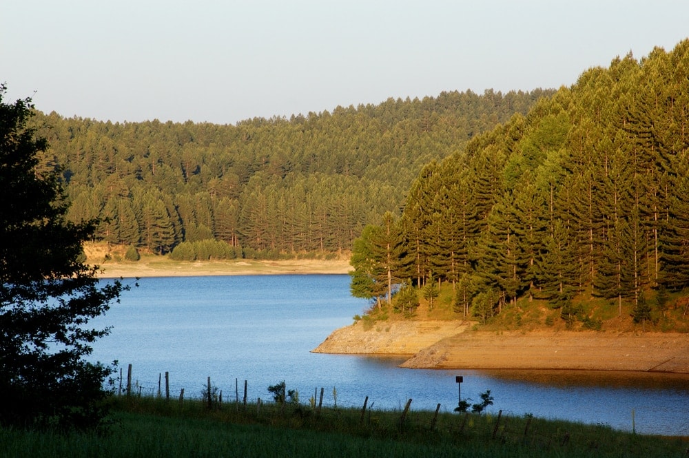 Parc National de la Sila