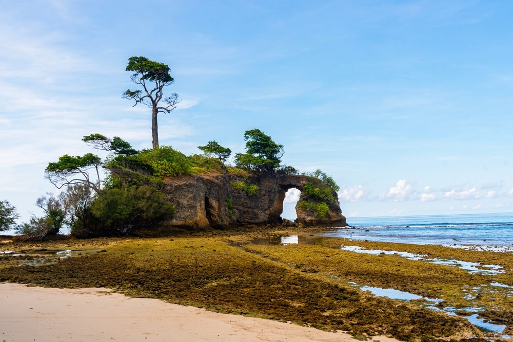 Îles Andaman-et-Nicobar : les meilleures activités