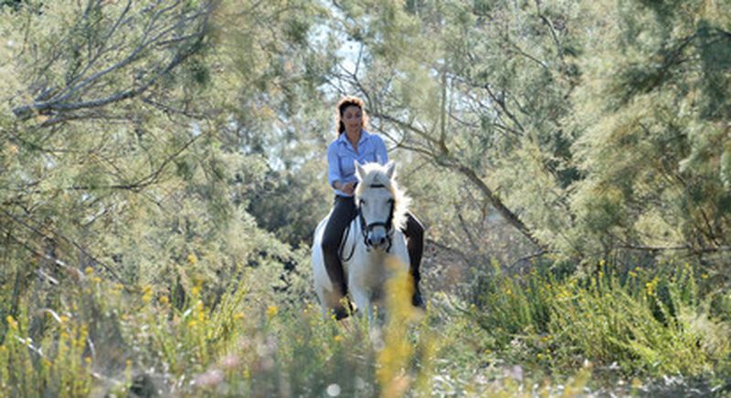 Billet Balade à cheval aux Saintes-Maries-de-la-Mer