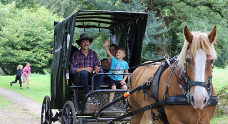 Billet Balade en calèche au marché près de Guingamp