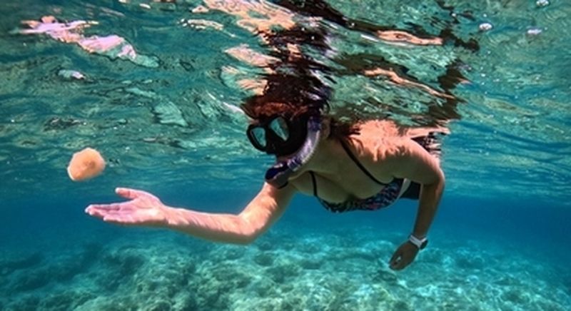 Billet Snorkeling à Ajaccio