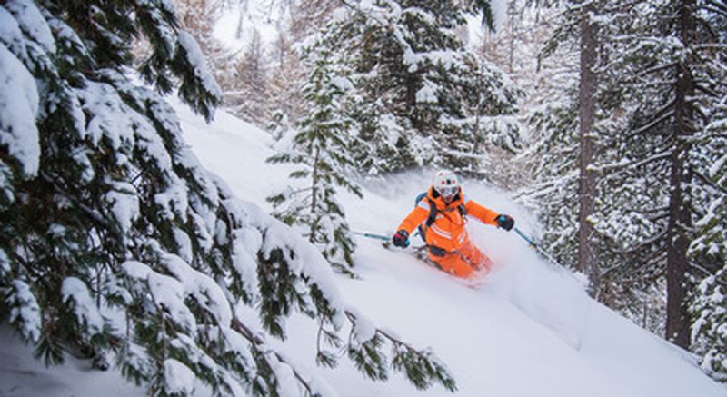 Billet Demi journée/ journée en ski freeride à Risoul