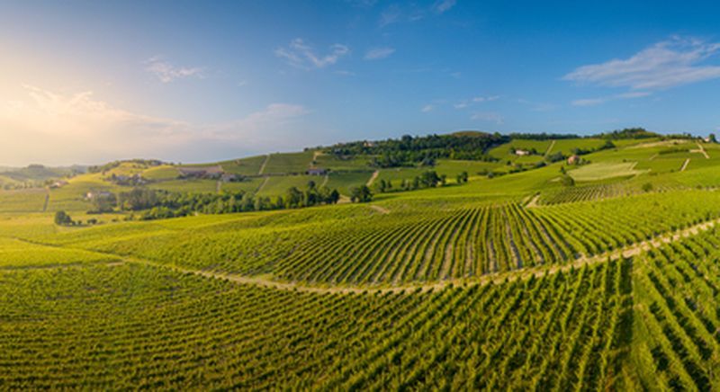 Billet Vol en ULM autogire et cours d'œnologie près de Narbonne