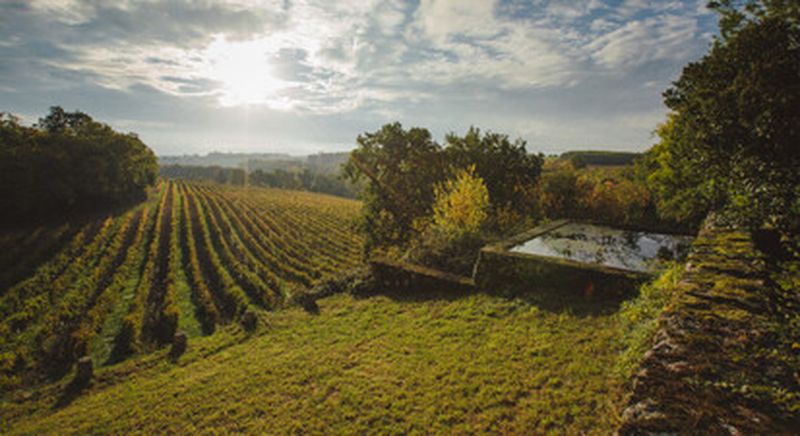 Billet Visite d'un domaine viticole et dégustation d'armagnacs à Lectoure
