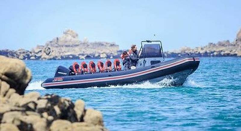 Billet Excursion en bateau dans la baie de Morlaix depuis Roscoff dans le Finistère