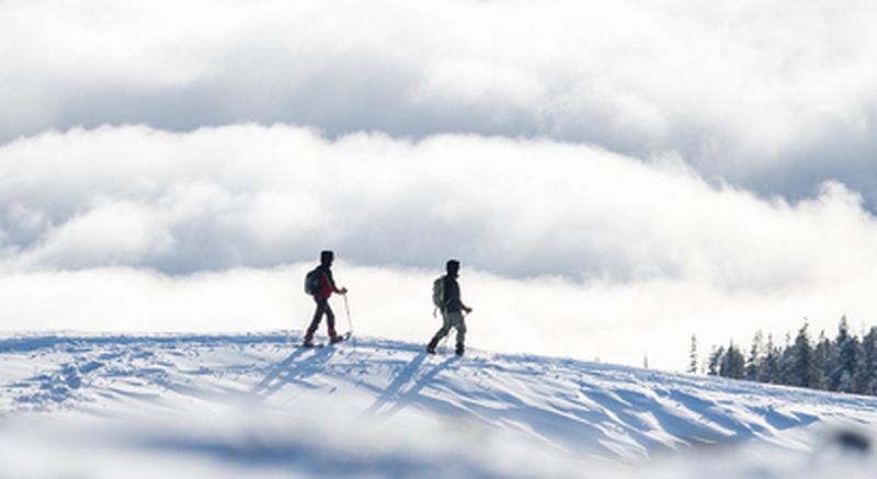 Billet Randonnée en raquettes au Col d'Aubisque à la vallée d'Ossau