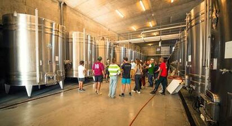 Billet Visite et dégustation de vins au sein d'un domaine viticole à Chinon