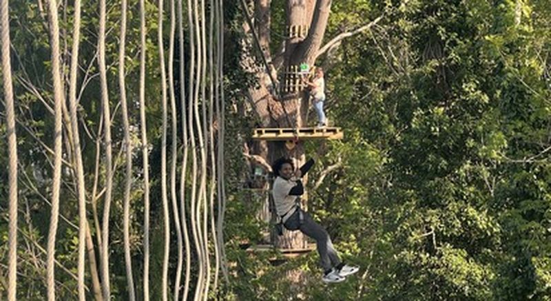 Billet Accrobranche à Rouen