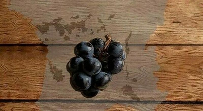 Billet Atelier d'œnologie et dégustation de vins à Aix-en-Provence