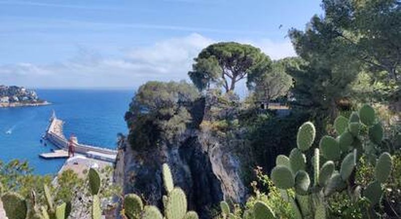 Billet Visite guidée à pied de Nice