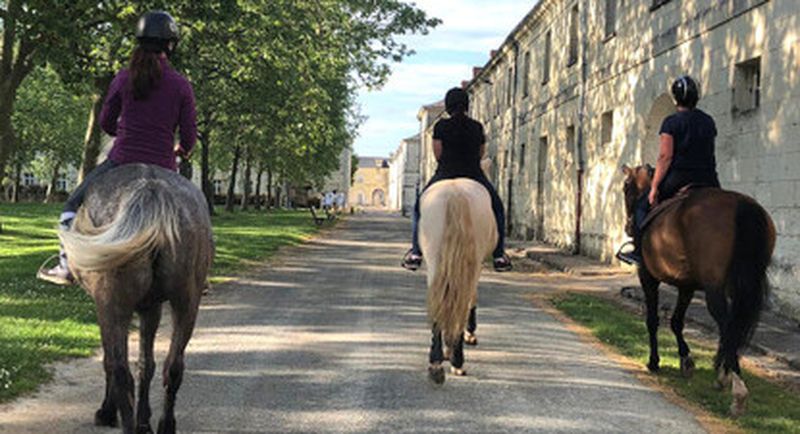 Billet Balade à cheval ou en calèche à Roiffé