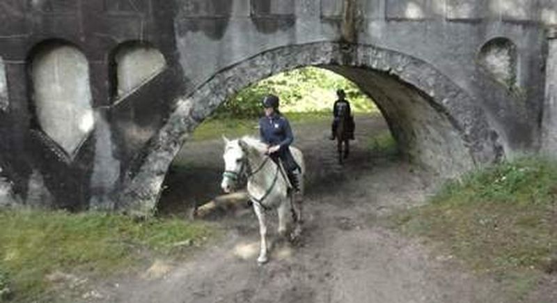Billet Stage d'équitation près de Soisy sur école