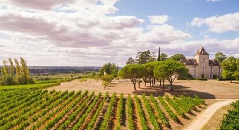 Billet Visite et dégustation de vin au Château de Haute-Serre à Cieurac