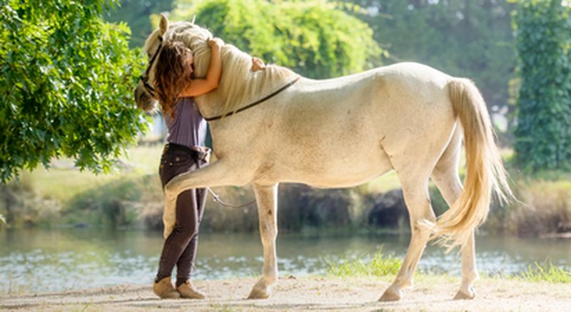 Billet Formation au développement personnel à travers le cheval près de Chantilly