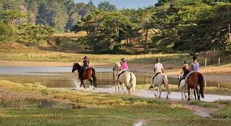 Billet Journée randonnée à Cheval près d'Erquy