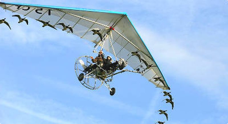 Billet Baptême en ULM avec les Oiseaux près de Saint Flour
