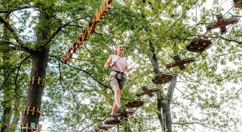 Billet Parcours accrobranche à Saint Germain-en-Laye