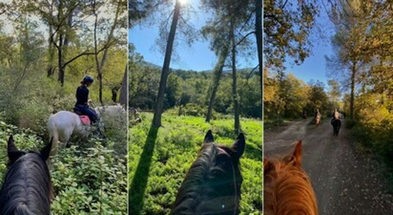 Billet Balade à cheval à Mimet près de Marseille
