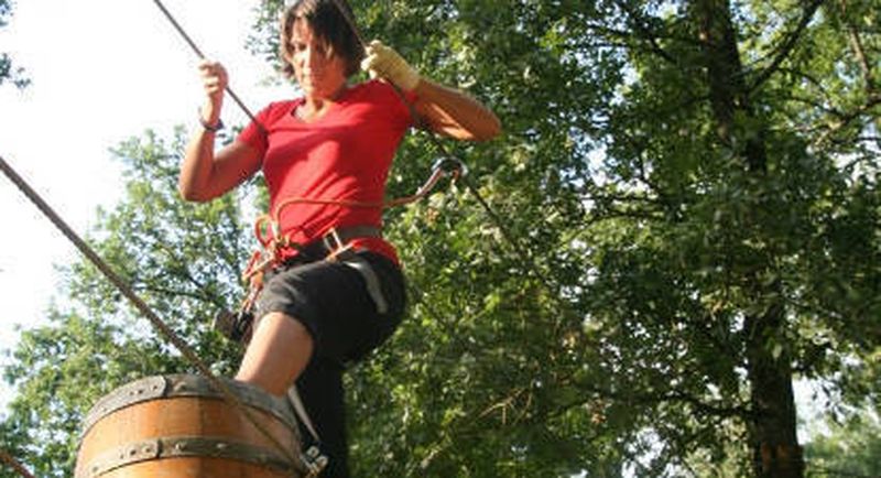 Billet Parcours d'accrobranche et visite Parc Animalier à Pont du casse