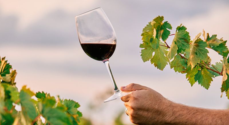 Billet Visite de cave et dégustation de vins à Veyre-Monton près de Clermont-Ferrand