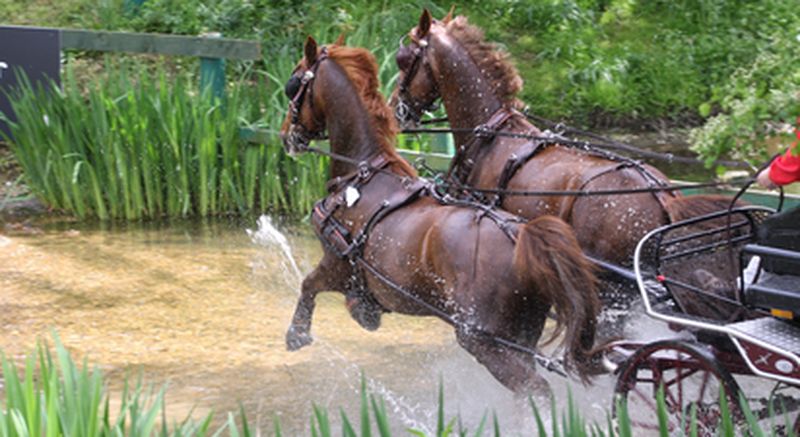 Billet Balade en Calèche à Rozay-en-Brie