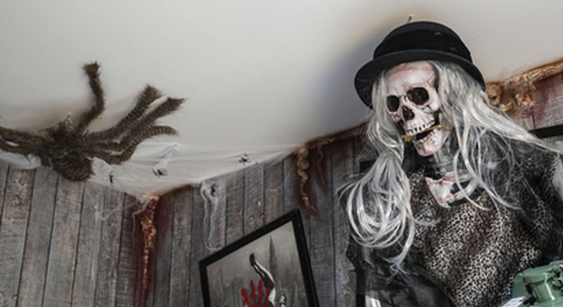 Billet Anniversaire au Gulli Parc avec animation escape game à Cap Malo