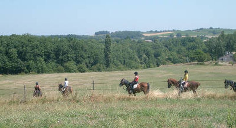 Billet Balade à cheval dans le vignoble Gaillacois
