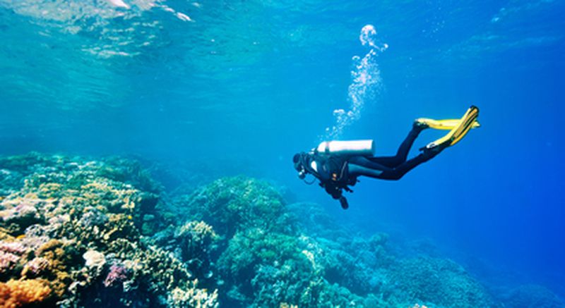 Billet Baptême de plongée à Villleneuve-Loubet