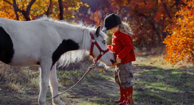 Billet Stage ou cours d'équitation près de Saumur
