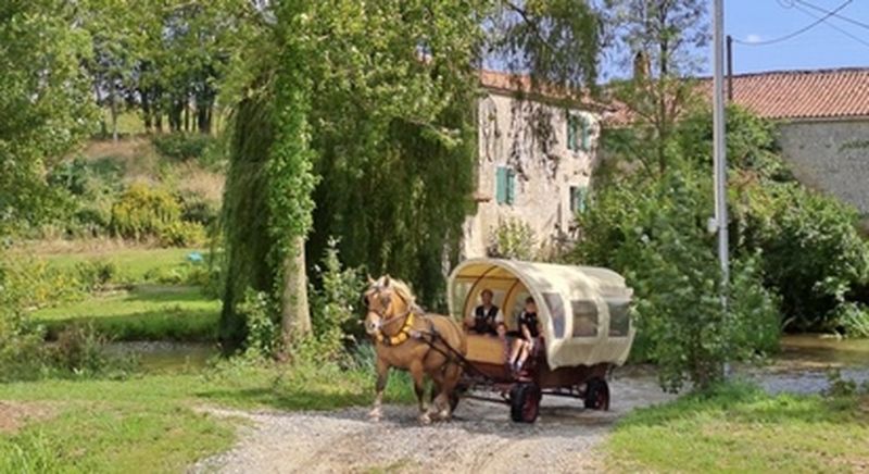 Billet Balade en calèche à Sainte-Hermine près de La Roche-sur-Yon