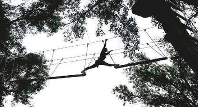 Billet Parcours accrobranche à Millau