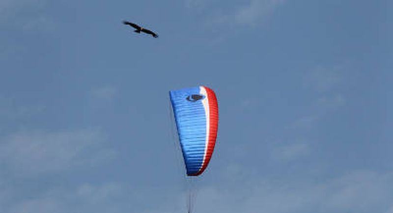 Billet Vol en Parapente au Cirque de Gavarnie