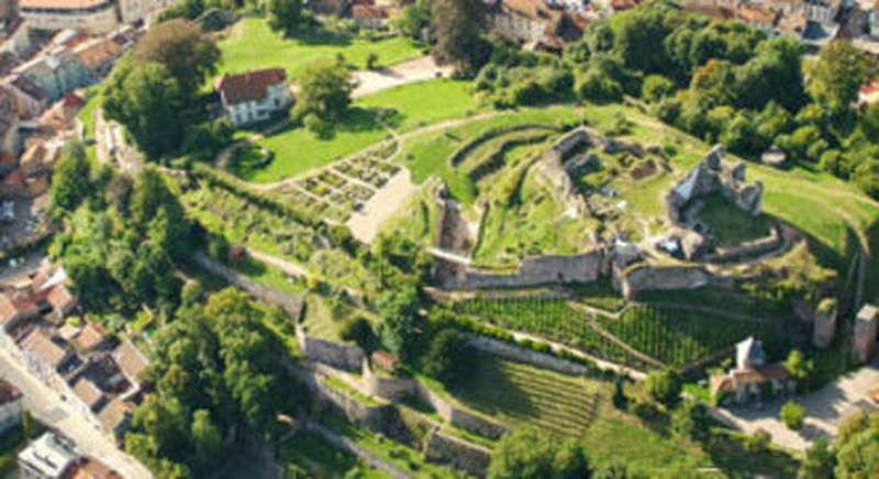 Billet Balade en Segway à Epinal 'Visite historique de la ville'