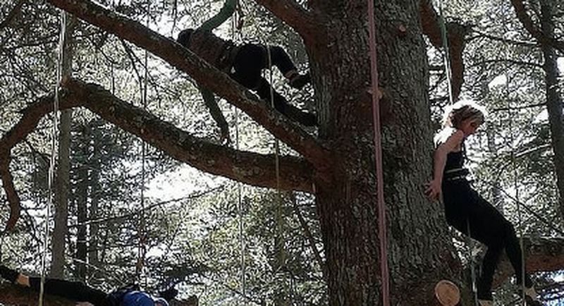 Billet Grimpe d'Arbres près de Thonon-les-Bains