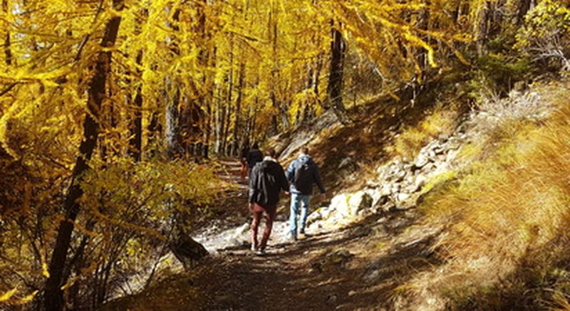 Billet Randonnée sur le thème de l'homme et le loup dans le Mercantour