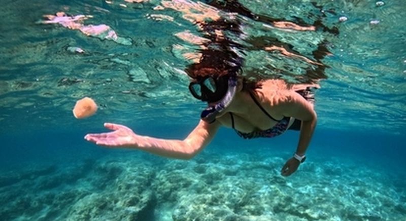 Billet Balade en bateau et snorkeling à Bastia