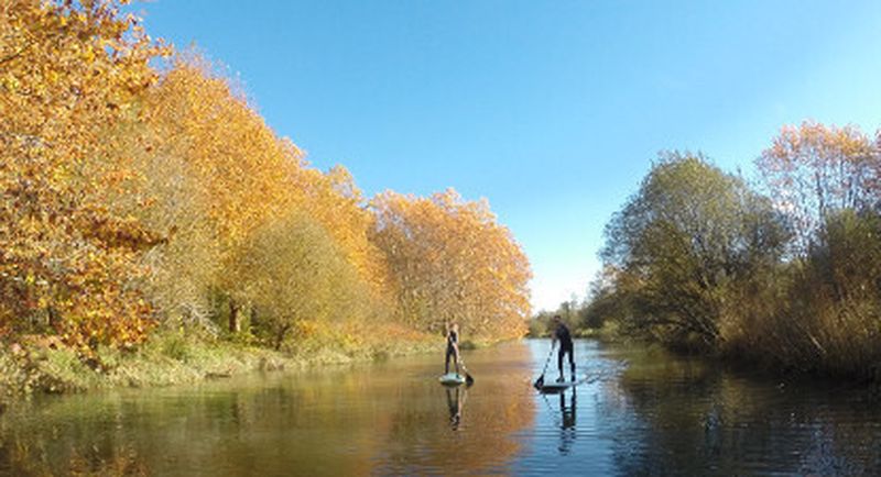 Billet Cours de paddle en rivière à Bayonne