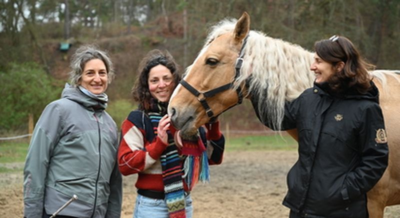 Billet Equicoaching dans l'Oise près de Beauvais