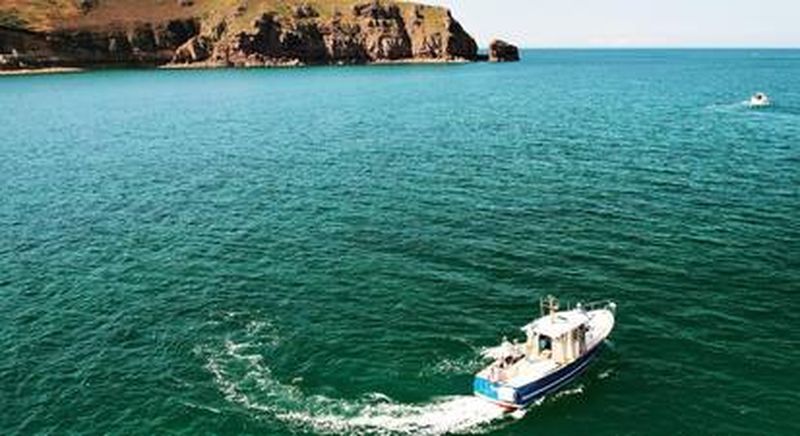 Billet Balade en bateau près de Saint-Malo