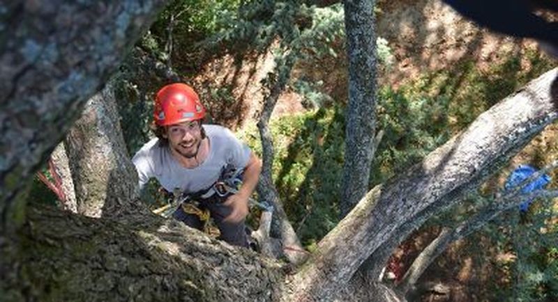 Billet Grimpe d'Arbres près de Toulouse