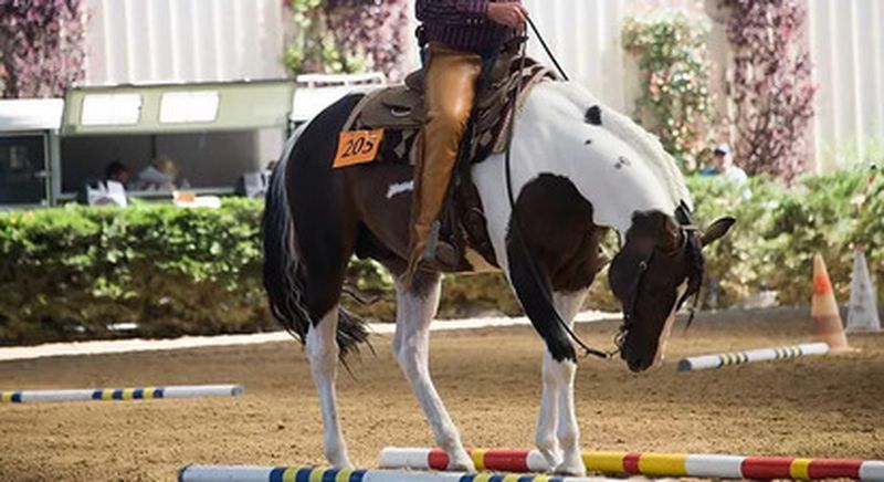 Billet Cours d'équitation Western près de Cergy