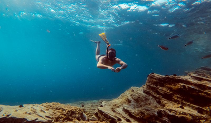 Billet Snorkeling à plusieurs près de Piana en Corse