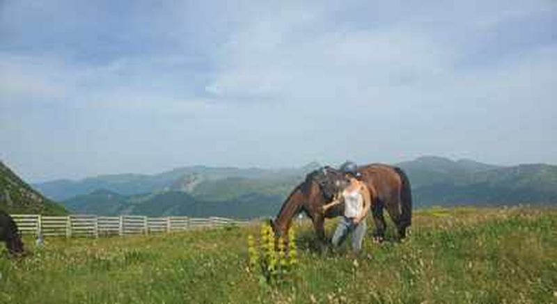 Billet Séjour Randonnée équestre dans les Monts du Cantal